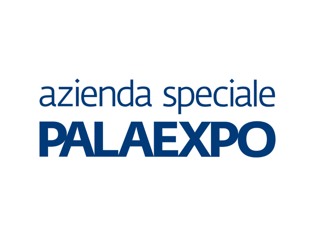 Grafica allestimento produzione e stampa Logo Palaexpo-Azienda_Speciale_Palaexpo